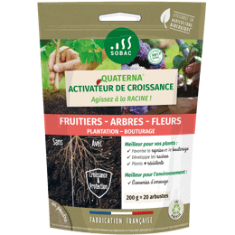 Quaterna Pralinage Bouturage