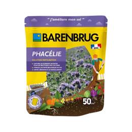 Engrais vert Phacélie - 50 m2