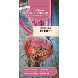 Betterave Détroit Bio