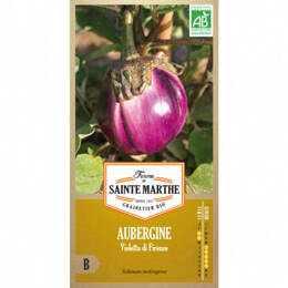 Aubergine Violetta di Firenze bio