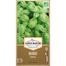 Basilic Genovese bio
