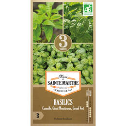 Basilics en mélange bio