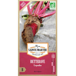 Betterave Crapaudine Bio