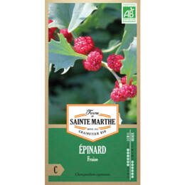 Epinard Fraise bio