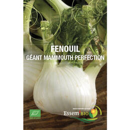 Fenouil Mammouth Perfection Bio