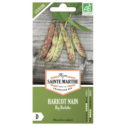 Haricot Nain Big Borlotto à Écosser Bio
