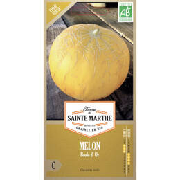 Melon Boule d’Or bio
