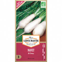 Navet de Croissy bio