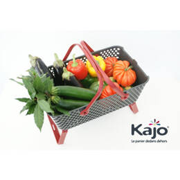 Panier de récolte Gris/Cerise 15 litres Kajo