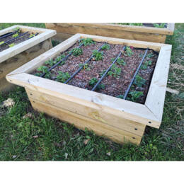 Potager bois carré réhaussé 1,5m2 + goutte à goutte intégré