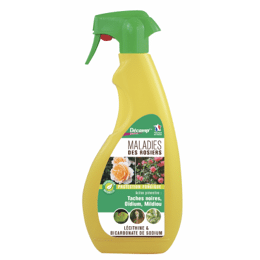 Spray traitement maladies des rosiers