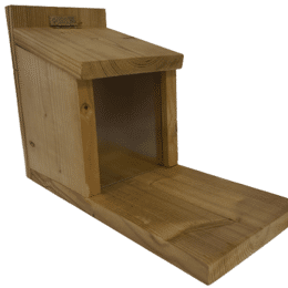 Mangeoire bois pour écureuils