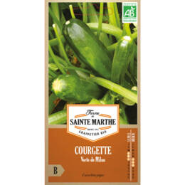 Courgette Verte de Milan bio