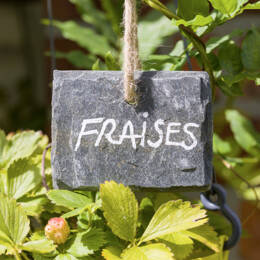 Etiquette en Ardoise naturelle de Cayrol