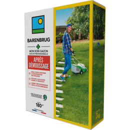 Gazon après démoussage Barenbrug 3 kg