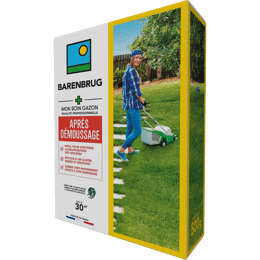 Gazon après démoussage Barenbrug 500 g
