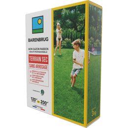 Gazon terrain sec sans arrosage Barenbrug 3 kg