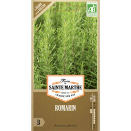 Romarin bio