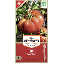 Tomate Purple Calabash bio