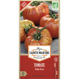 Tomate Sainte Lucie bio