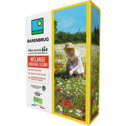 Mélange cocktail fleuri bio pour auxiliaires du jardin