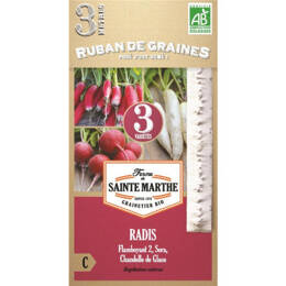 Ruban de Radis en mélange (Flamboyant 2, Sora, Chandelle de Glace) présemé bio
