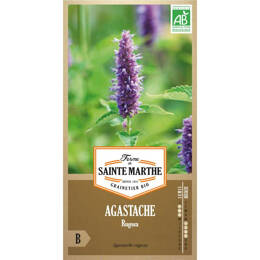 Agastache Rugosa bio