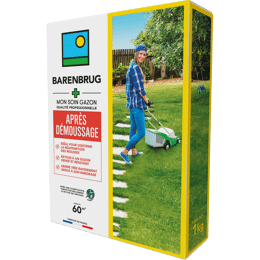 Gazon après démoussage Barenbrug 1 kg