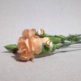 boucles d'oreilles micro puces Eclipse