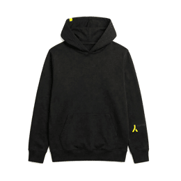 SWEATSHIRT À CAPUCHE "WHY"