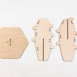 Cactus - Cactus Arizona