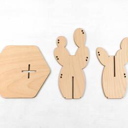 Cactus - Cactus California