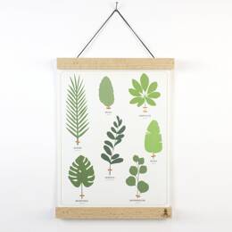 Affiche - L'herbier tropical