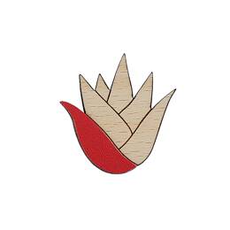 Broche - Collection Aloé - Rouge