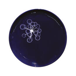 Assiette M Abysses