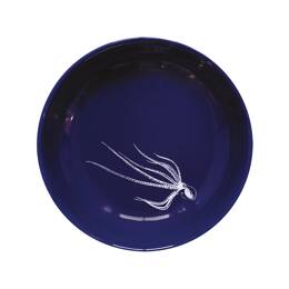 Assiette creuse Abysses