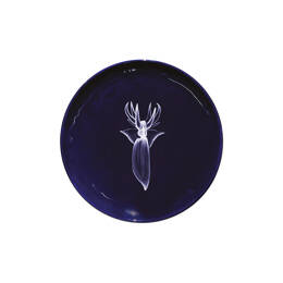 Assiette XS Abysses