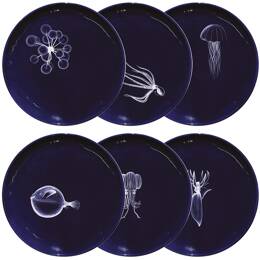 Coffret de 6 assiettes M Abysses
