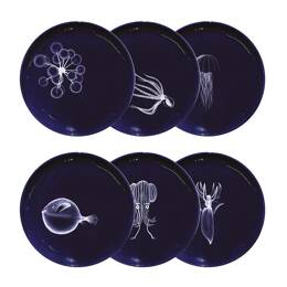 Assiette XS Abysses