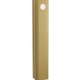 Le Tube réservoir seul - Or Coque