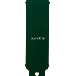 Ensemble Les Jolis accessoires (brosse murale) - Vert Spiruline