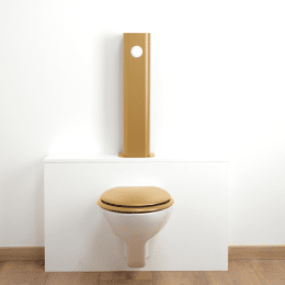 Le Tube WC complet suspendu - Or Coque