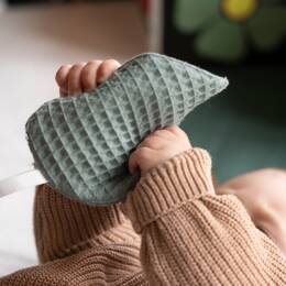 Feuilles sensorielles