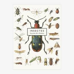 Carnet «Insectes»