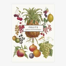 Carnet «Fruits»