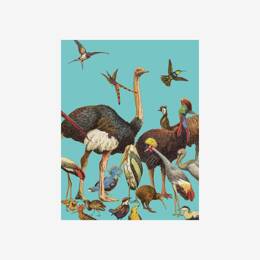 Petit carnet «Oiseaux»