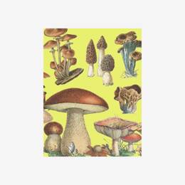 Petit carnet «Champignons»