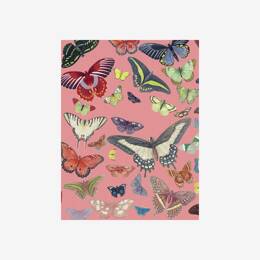 Petit carnet «Papillons»