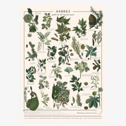 Affiche «Arbres» - 50 x 70 cm