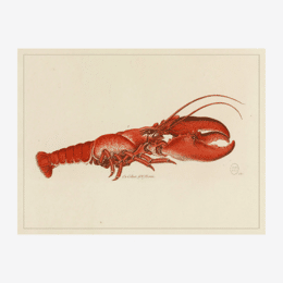 Affiche «Homard» - 30 x 40 cm